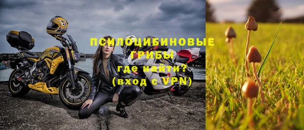 шишки Баксан