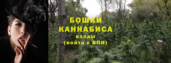 шишки Баксан