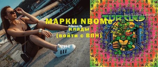 шишки Баксан