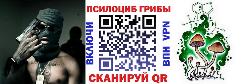 Галлюциногенные грибы Psilocybine cubensis купить Туран